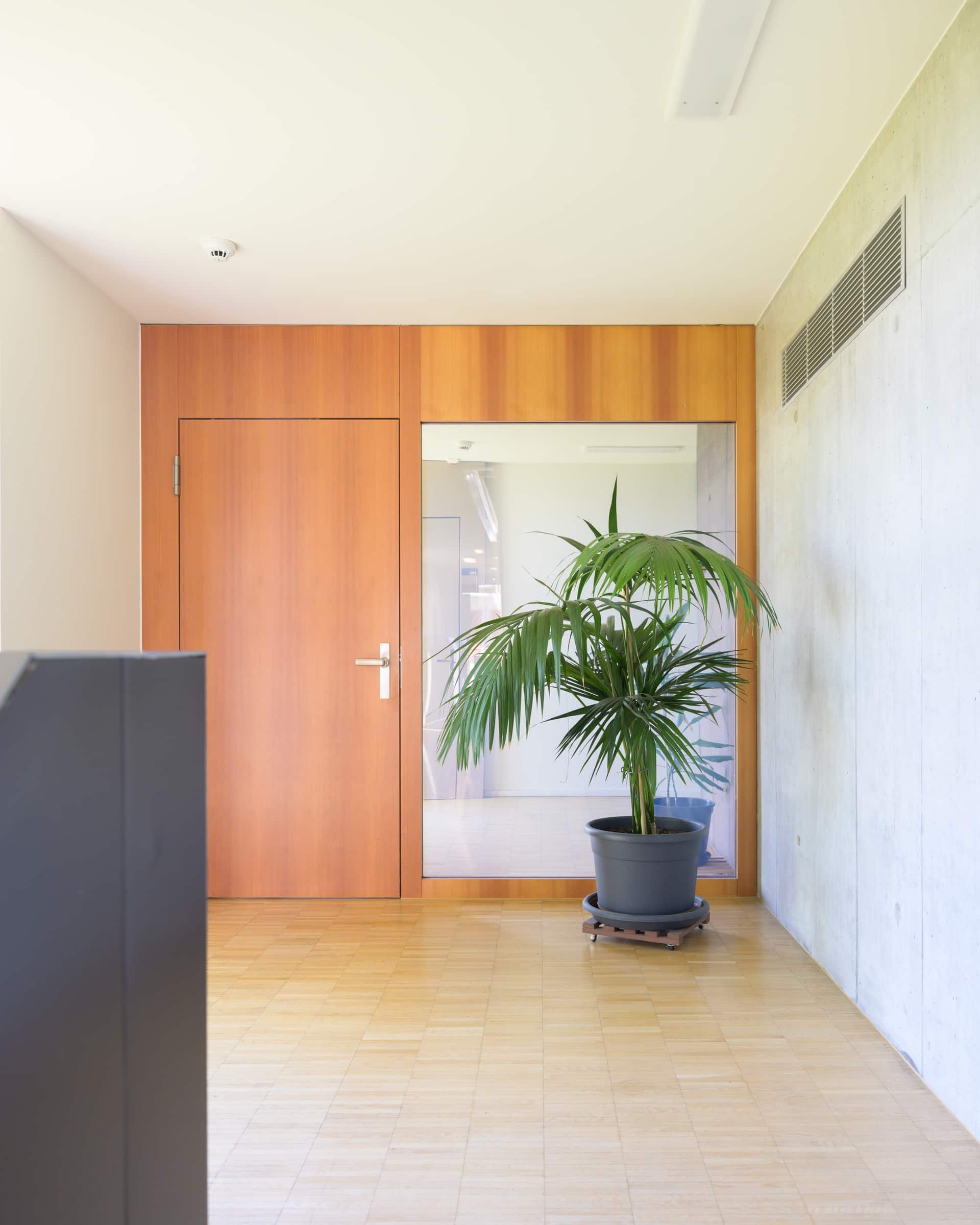 Accueil intérieur de Bru avec sa paroi en bois et une grande plante